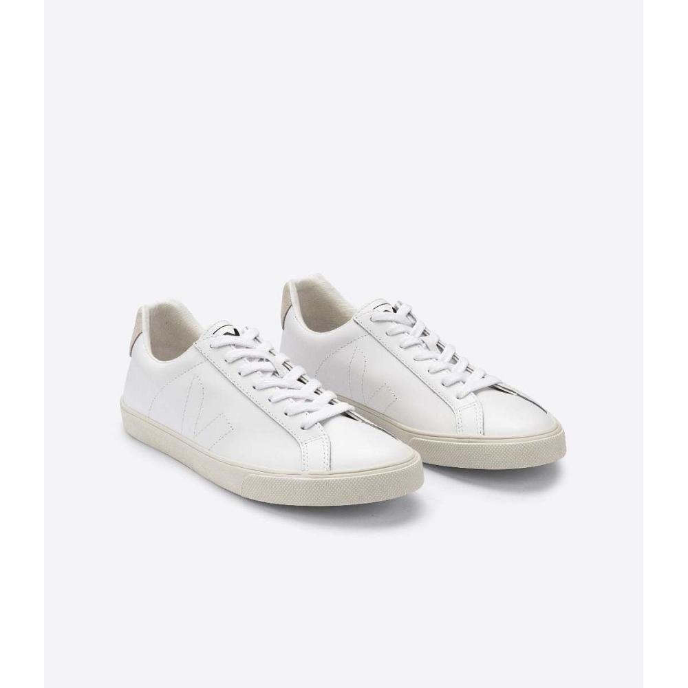 Veja ESPLAR LEATHER Sneakers Dames White/Beige | NL 621HAP